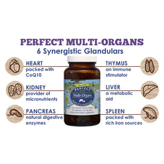 Perfect Multi-Organs