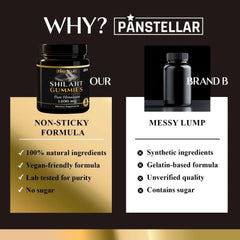 Panstellar Essentials Pure Himalayan Shilajit Gummies - 1500mg