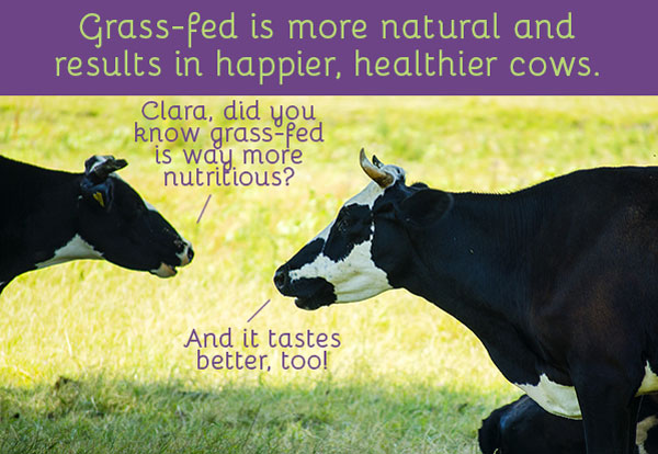 4 Reasons Why Grass-Fed Meat is Better