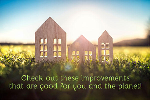 4 Updates to Make Your Family’s Home More Eco-Friendly and Less Toxic 