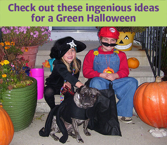 Go Green for Halloween