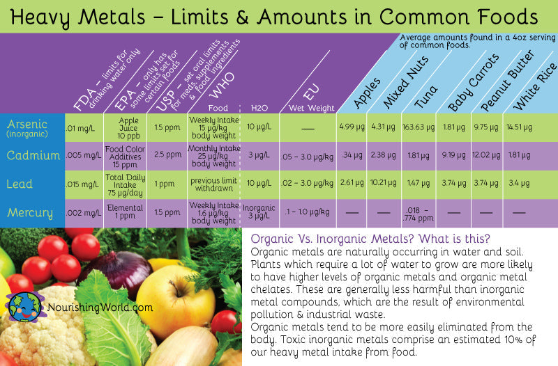 Heavy Metals Found in Rice Protein Powder