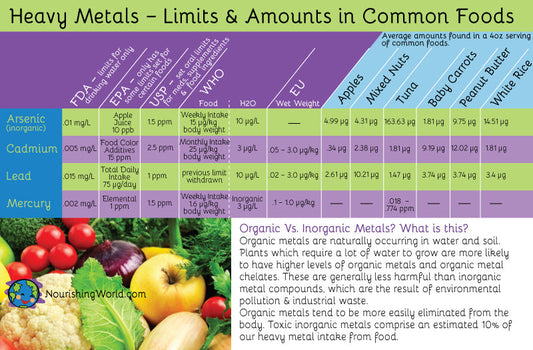 Heavy Metals Found in Rice Protein Powder