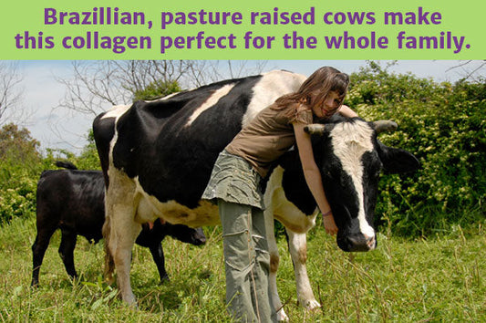 The #1 Paleo Superfood: Hydrolyzed Collagen