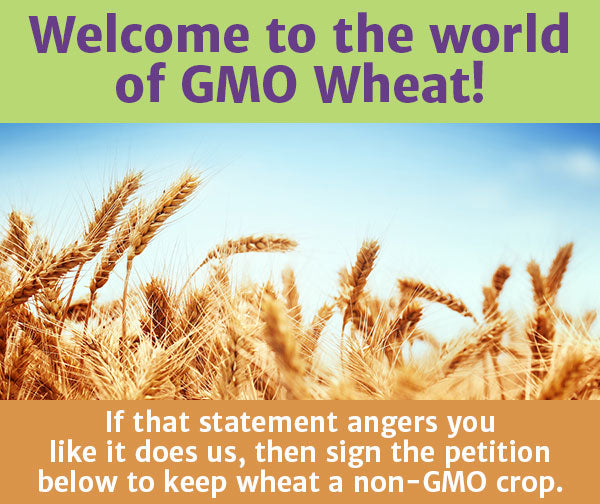 Sign the Petition: Stop Genetically Engineered Wheat!