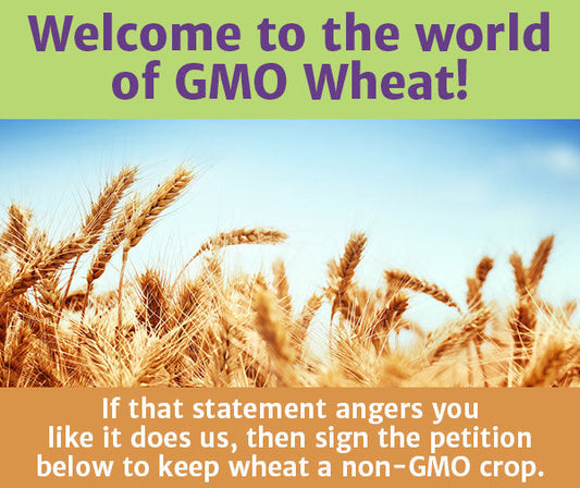 Sign the Petition: Stop Genetically Engineered Wheat!
