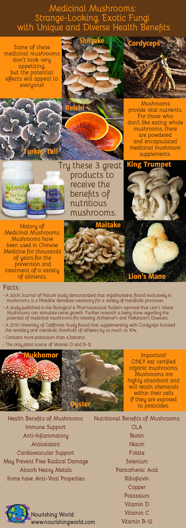 Medicinal Mushrooms: Dr. Mercola's Superfood Supplements