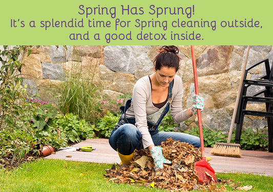 Spring Cleaning from the Inside Out: Detox Programs