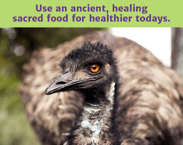 Emu Oil: Sacred Healing Food Revealed