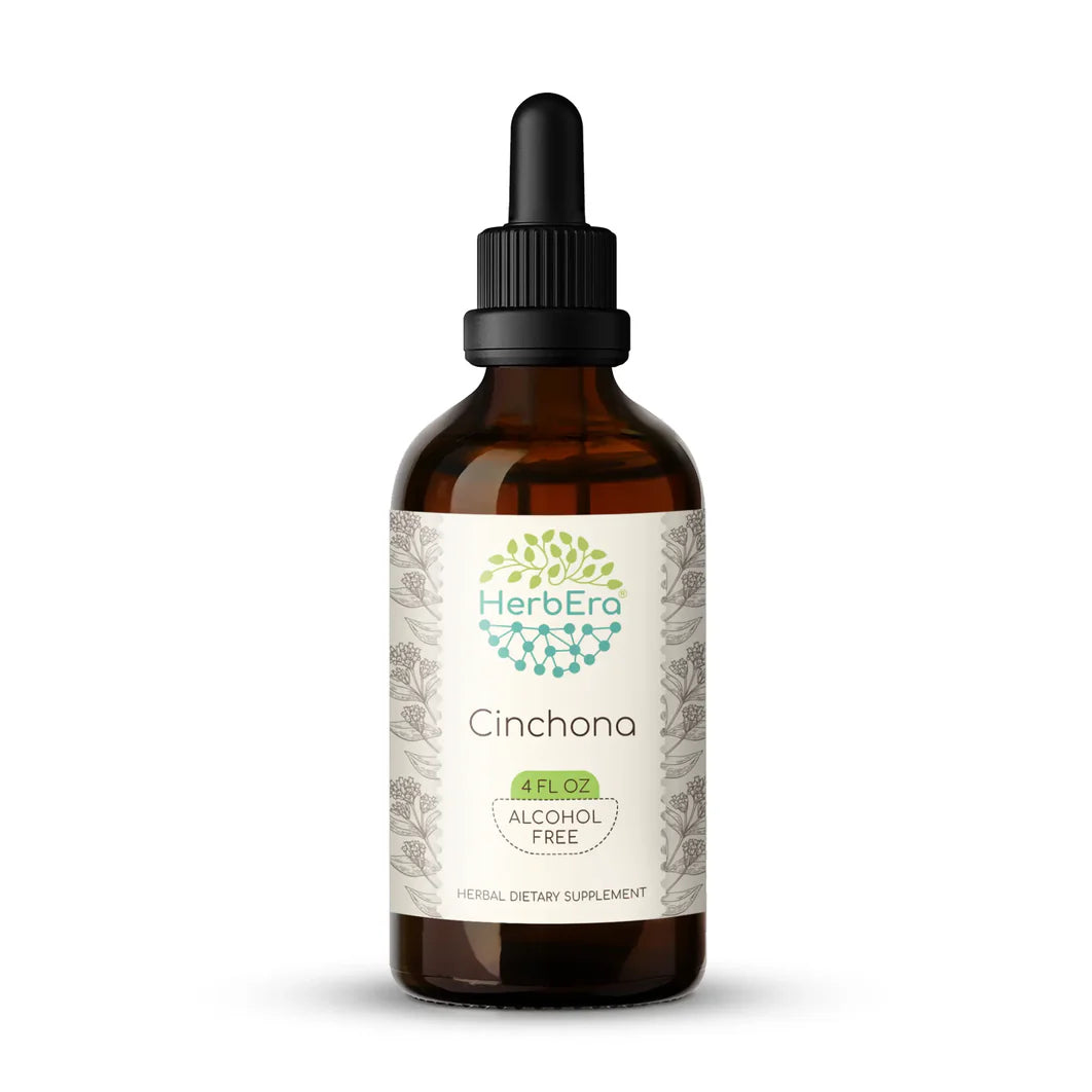 HerbEra Cinchona Tincture