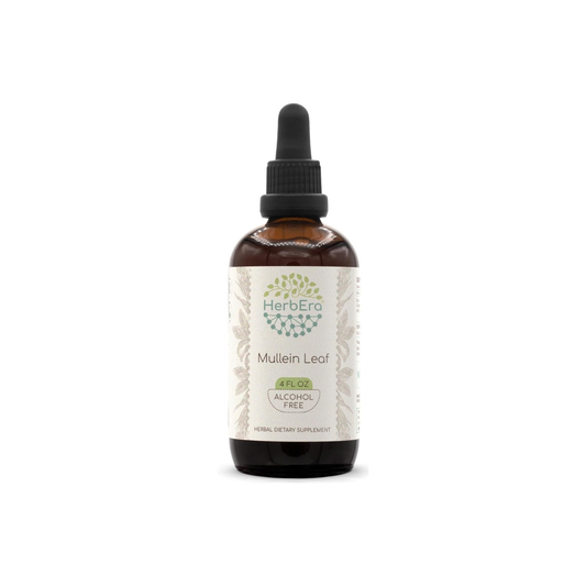 HerbEra Mullein Leaf Tincture