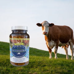 Perfect Gut & Immune Blend